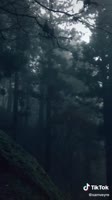 540x960