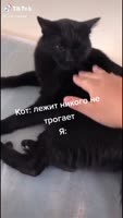 544x960
