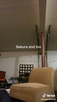 576x1024