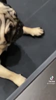 540x960