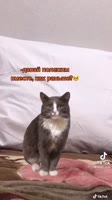 540x960