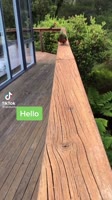540x960