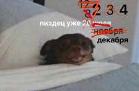 1280x840