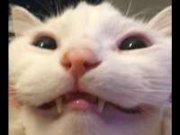 480x360