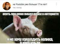 720x529