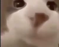 400x320