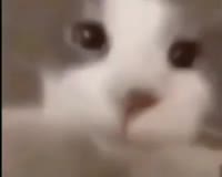 400x320