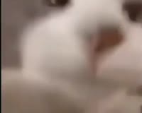 400x320