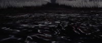 1920x810