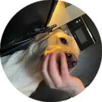 384x384