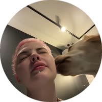 384x384