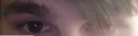 736x196