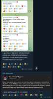 449x825