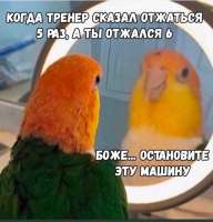 700x729