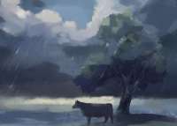 1446x1038