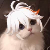 720x720