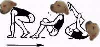 298x143
