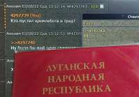 1243x868