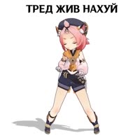 526x526