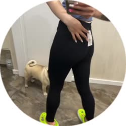 384x384