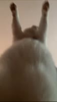 640x1138