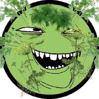 320x320