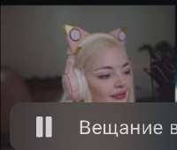 331x282