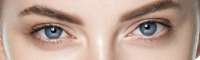 800x243