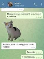 576x771