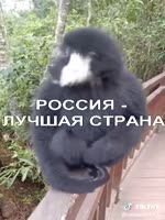 360x480