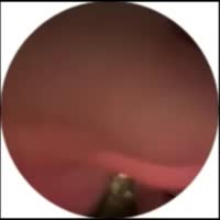 360x360