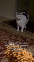 464x848