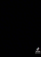 576x800
