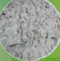 690x700