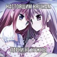 736x736