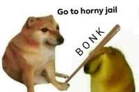 500x331