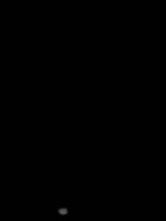 576x768