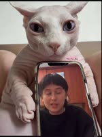 624x832