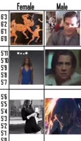 720x1242