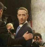 475x491
