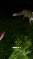 720x1280