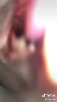 540x960