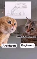 360x566