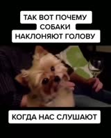 640x800