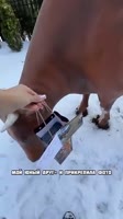 360x640