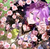 1910x1906
