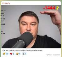 443x411