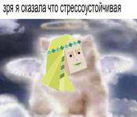 807x694