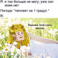 736x739