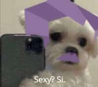 564x502